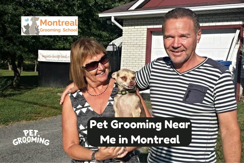 Pet Grooming Near Me in Montreal