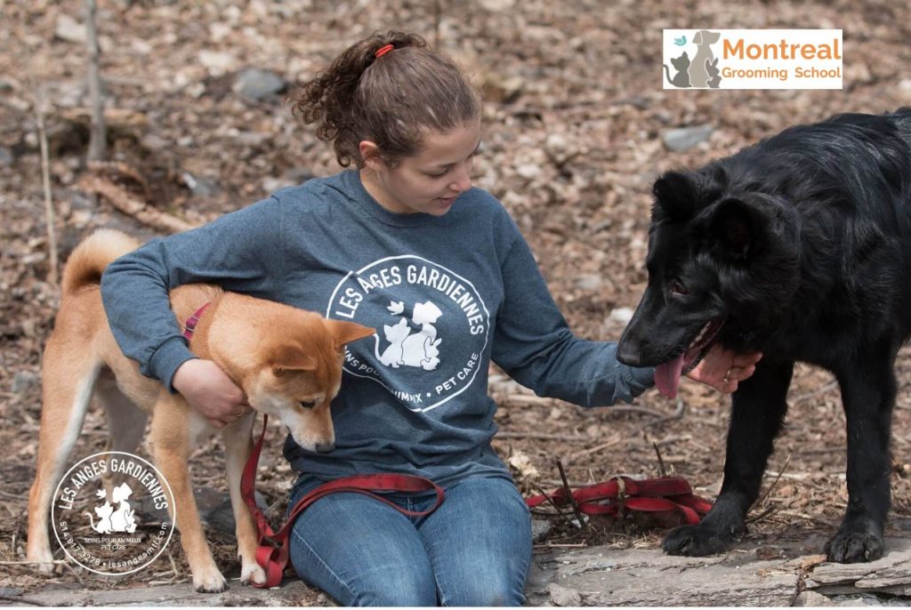 dog clipping near me